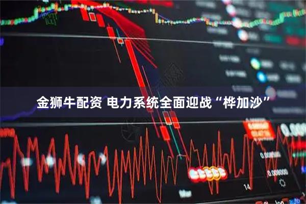 金狮牛配资 电力系统全面迎战“桦加沙”