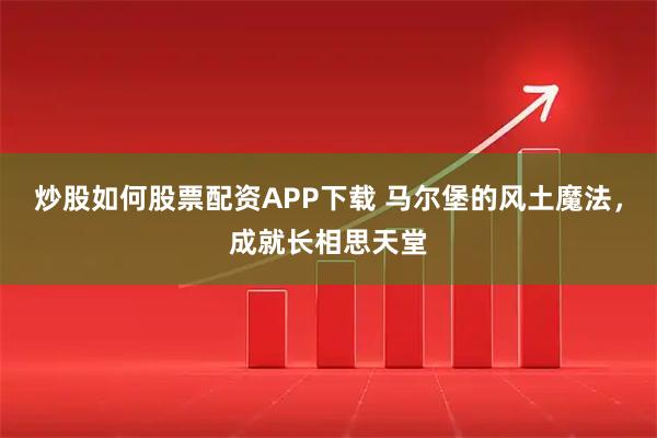炒股如何股票配资APP下载 马尔堡的风土魔法，成就长相思天堂
