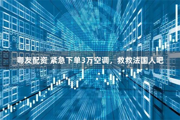 粤友配资 紧急下单3万空调，救救法国人吧